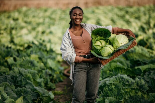 Status of Women in Agrifood Systems